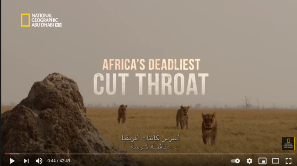 أشرس كائنات أفريقيا: منافسة شرسة | ناشونال جيوغرافيك أبوظبي