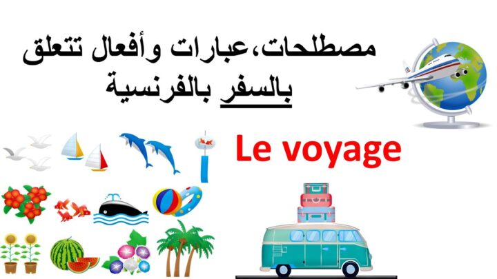 فيديو | تعلم الفرنسية–مصطلحات-عبارات وأفعال تتعلق بالسفر بالفرنسية–Le Voyage