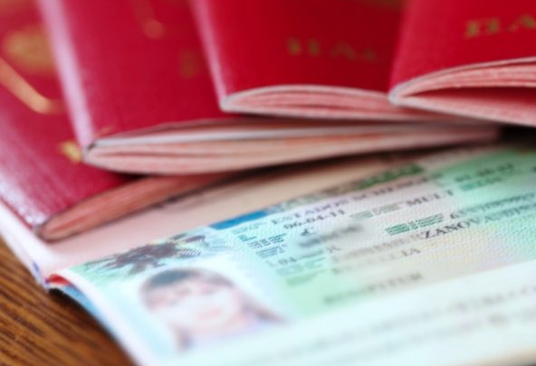 ماذا تعرف عن تسوية أوراق الإقامة في بلجيكا
