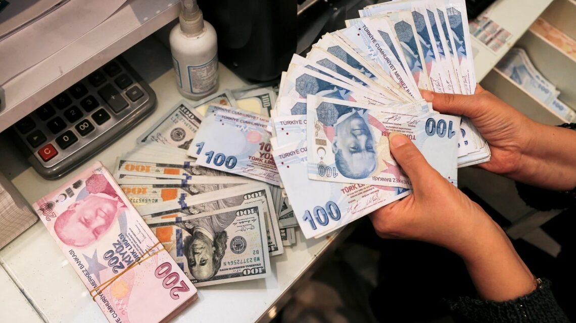 تركيا تتكبد 8 مليارات دولار لإنقاذ الليرة