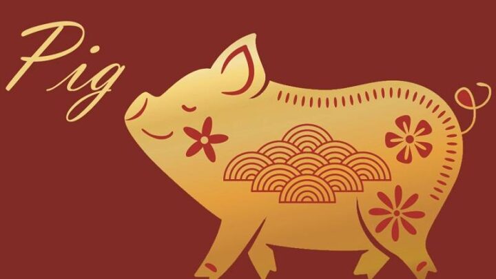 توقعات الأبراج الصينية لبرج الخنزير 2022 – مجلة سيدتي