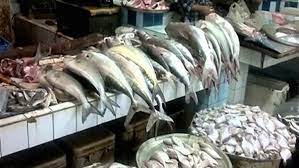 أسعار السمك اليوم في السعودية 1443