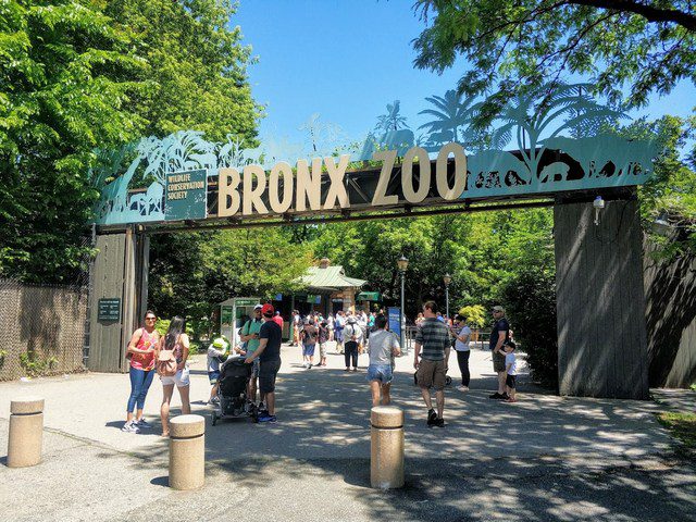 أفضل 8 أنشطة في حديقة حيوانات برونكس نيويورك
