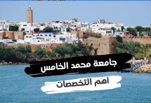 السفارة المصرية في جيبوتي 2023 وأبرز طرق التواصل معهم