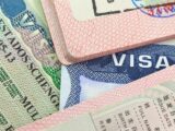 Making the case for a startup visa  | TechCrunch