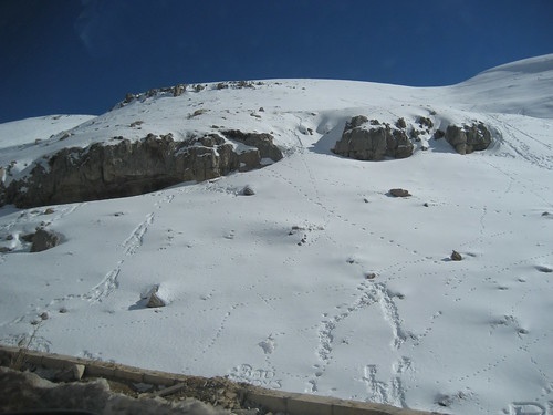 لبنان