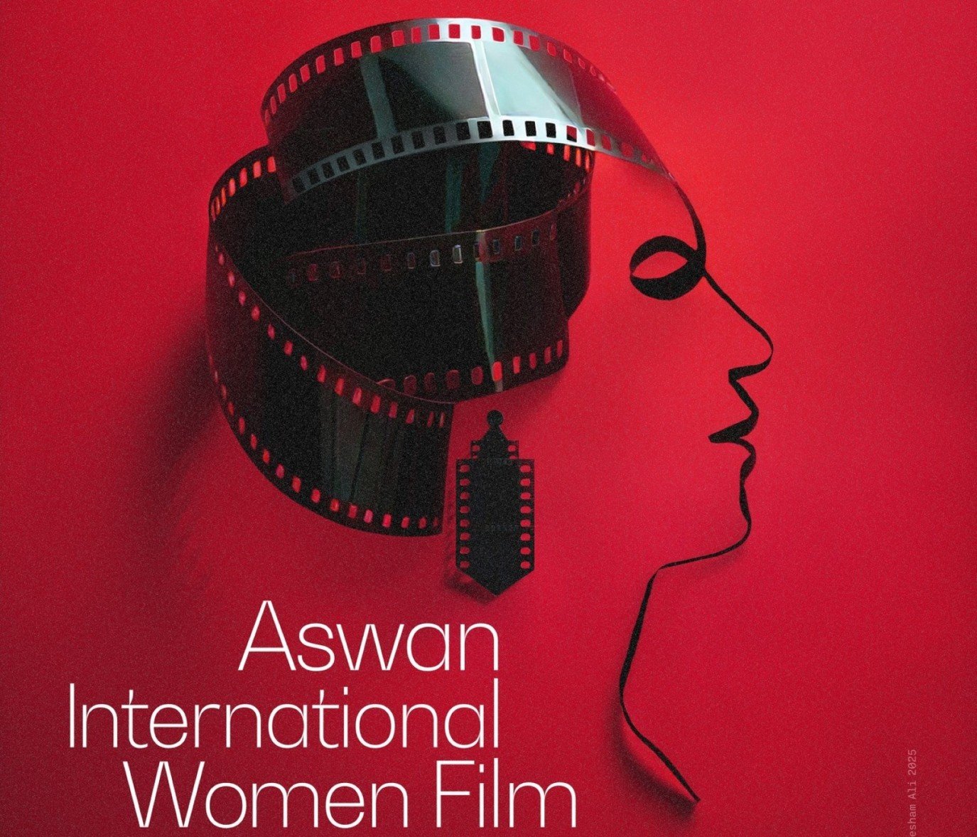 صورة المرأة في السينما العربية مهرجان أسوان لأفلام المرأة يصدر تقريره السادس